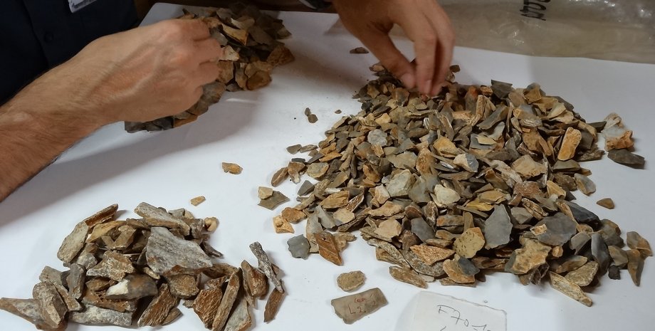 останки, неандертальцы