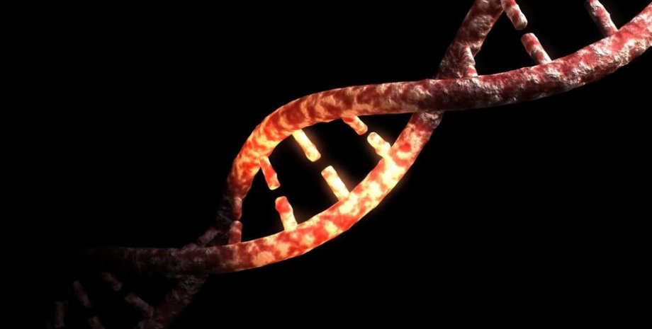 ДНК, геном людини, генні захворювання, генні мутації