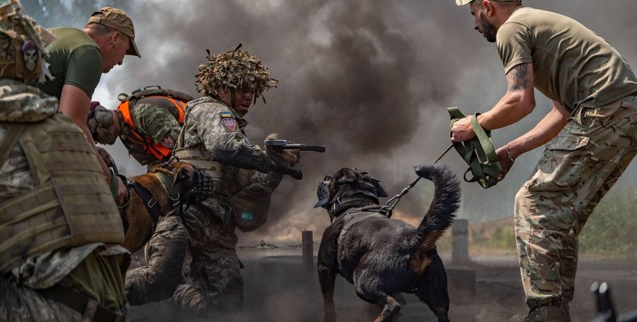 Бойцы ВСУ, украинские военные, контрнаступление, ситуация на фронте, битва с противником