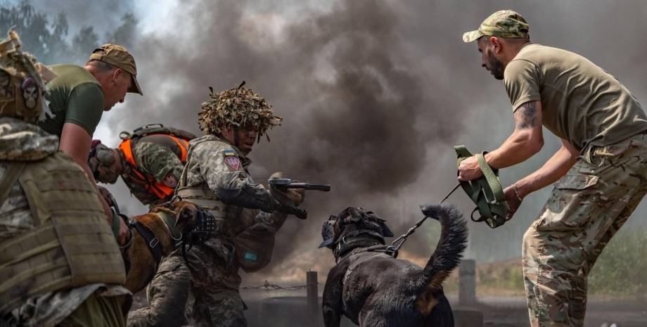 Бойцы ВСУ Бойцы ВСУ, украинские военные, контрнаступление, ситуация на фронте, битва с противником