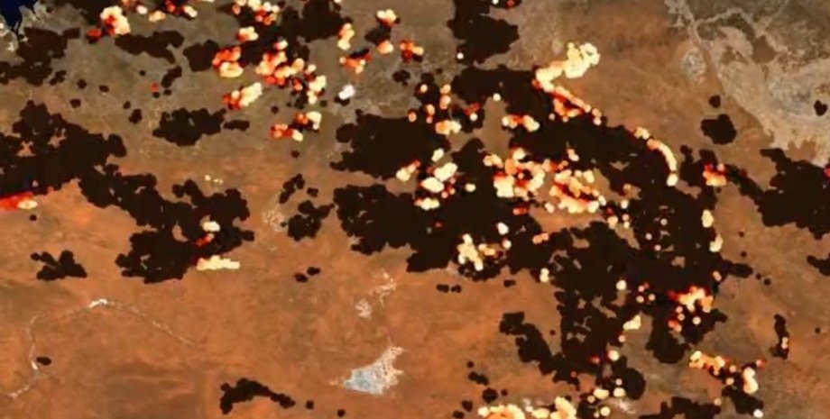 австралия, пожары в австралии, лесные пожары