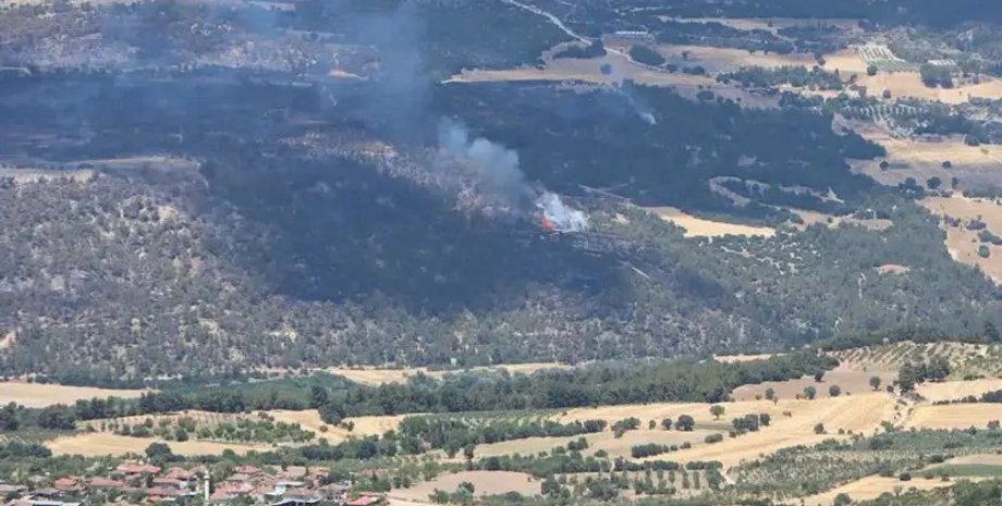 Мужчина в Турции сжег лес из-за клеща в подушке