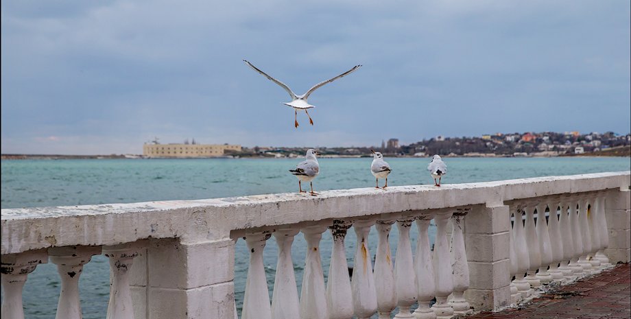 Севастополь зимой