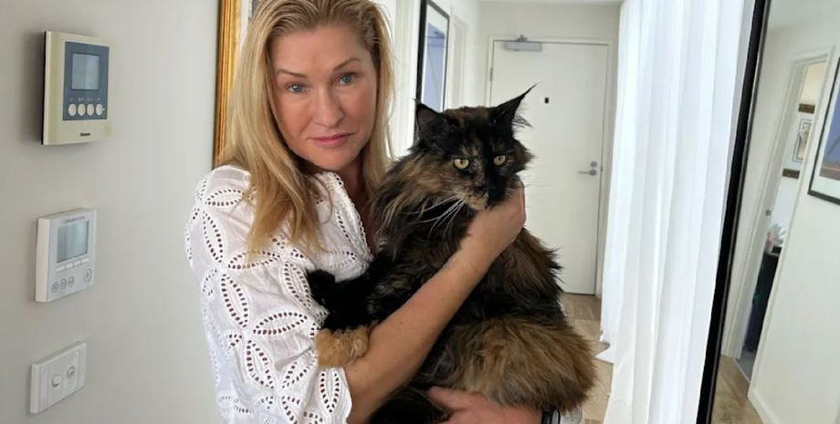 Кот потерялся в самолете, за сутки он трижды летал с острова на континент, как это могло произойти, курьезы, приколы