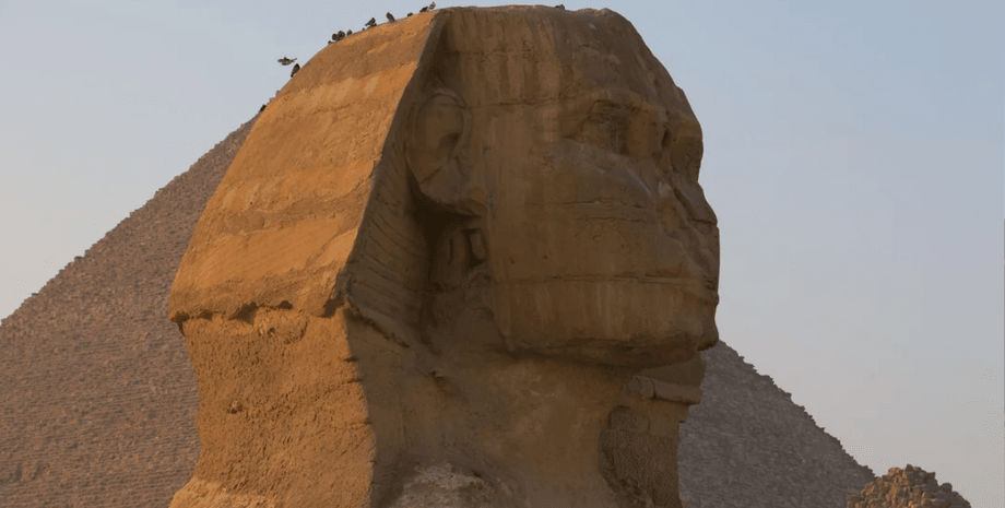 Сфінкс і піраміди Гізи в Єгипті на заході сонця