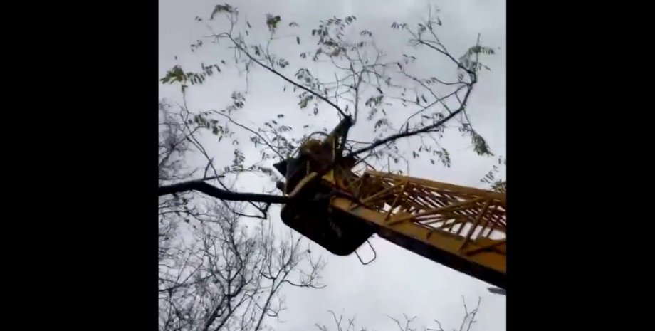 птур автовишка