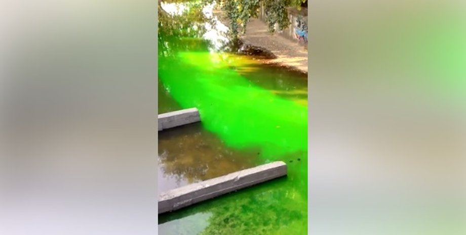 Позеленевшая Лыбидь в Киеве / Скриншот видео