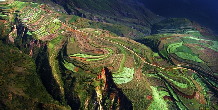Рисовые террасы в Китае / Фото: SkyPixel