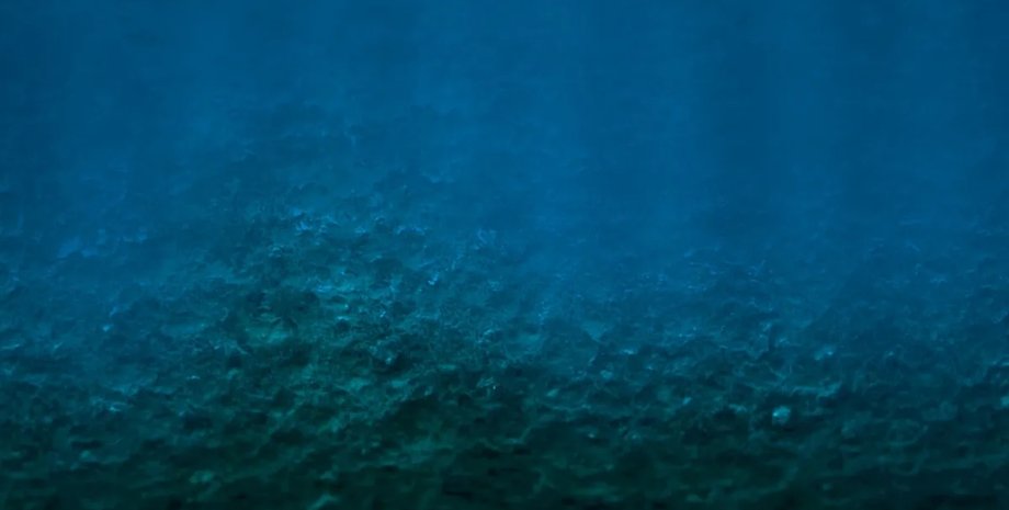 круги на дне мирового океана