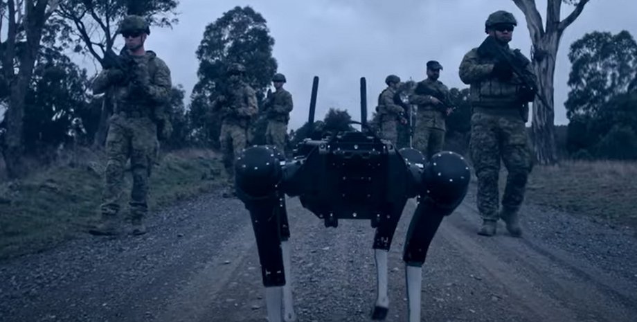 робот, боевой робот, робо-пес, робо-собака