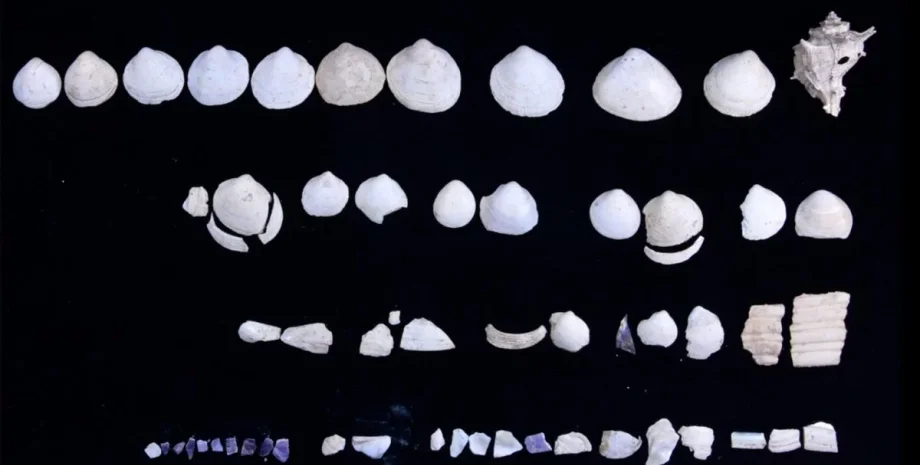 Древнеримский макияж, археологические находки, средства для макияжа, магазин косметики и ювелирных изделий, исторические артефакты, раскопки, артефакты римского города, античная косметика, торговля ювелирными изделиями, археология