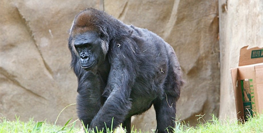 Фото: shutterbud.smugmug.com