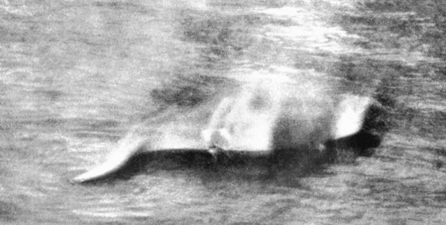 Первое фото Лохнесского чудовища, Несси, загадочное существо, Хью Грей, озеро Лох-Несс, Лохнесское чудовище, старая легенда
