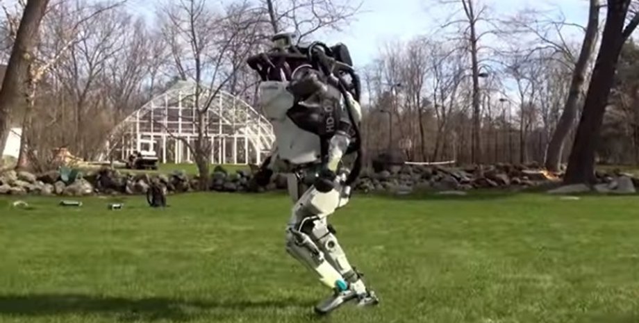 Фото: кадр из видео