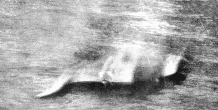 Первое фото Лохнесского чудовища, Несси, загадочное существо, Хью Грей, озеро Лох-Несс, Лохнесское чудовище, старая легенда