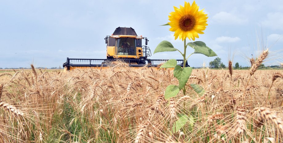 урожай 2021, цены на зерновые, аграрии