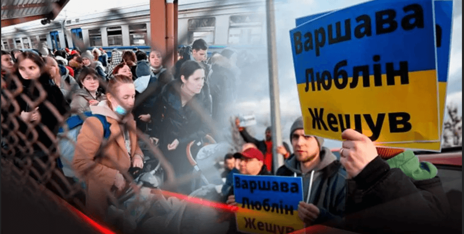 война, беженцы, Польша, трудоустройство