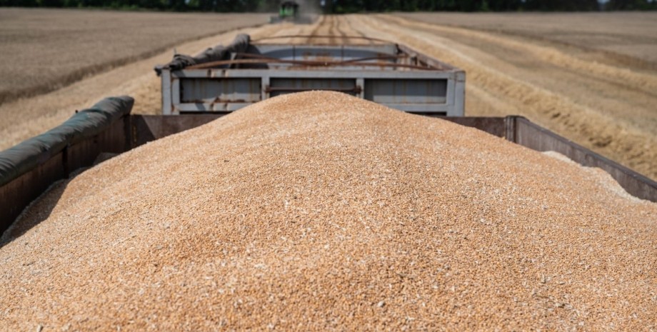 Зерно, экспорт зерна, импорт зерна, Украина