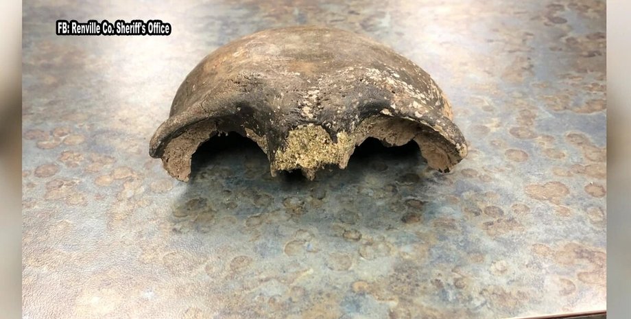 череп, стол, фото