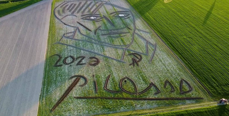 Портрет, поле, Пабло Пікассо