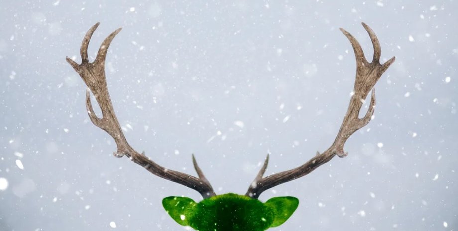 зеленій олень