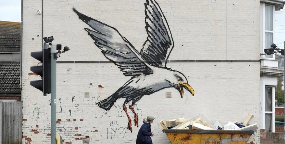 малюнок бенксі , чайка на стіні будинку у Великобританії, чайка бенксі