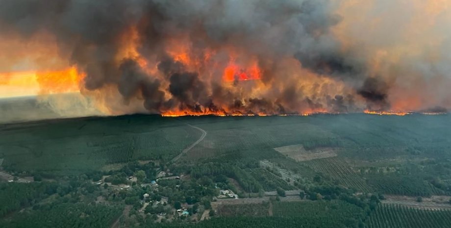 Лісові пожежі, лісова пожежа, пожежа в лісі, зміна клімату, глобальне потепління