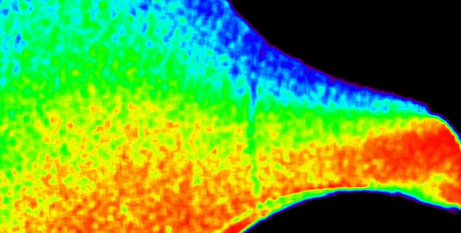 Сонце корона