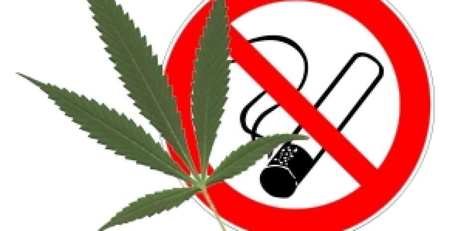 Запрет на курение марихуаны буклеты против спайсов