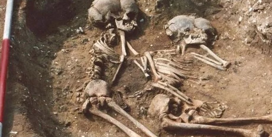 скелеты людей