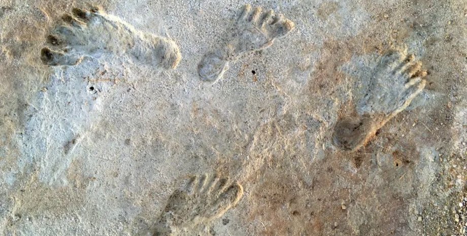 відбитки ніг