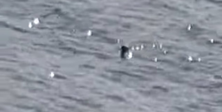 Лох-несское чудовище