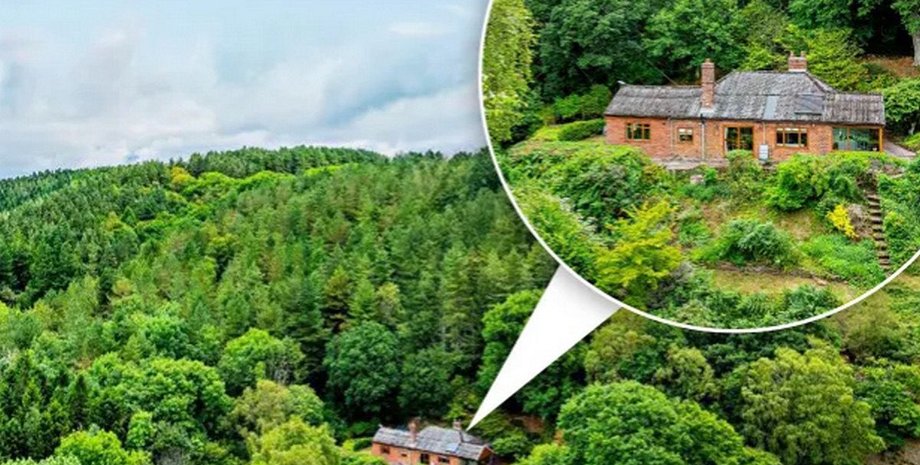 Недвижимость окружена лесом