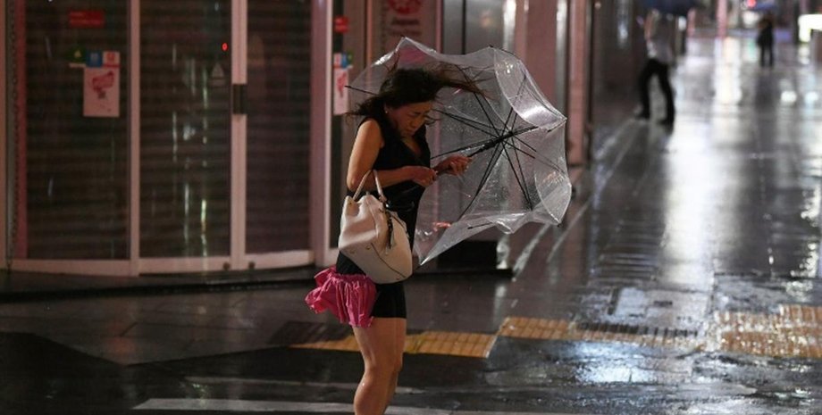 Фото: Winestle News / Twitter