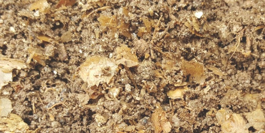 рыбный соус