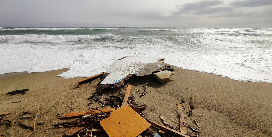 Монстр в океане, чудовище, странное существо, США, видео, курьезы