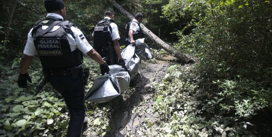 Фото: NewsBeezer