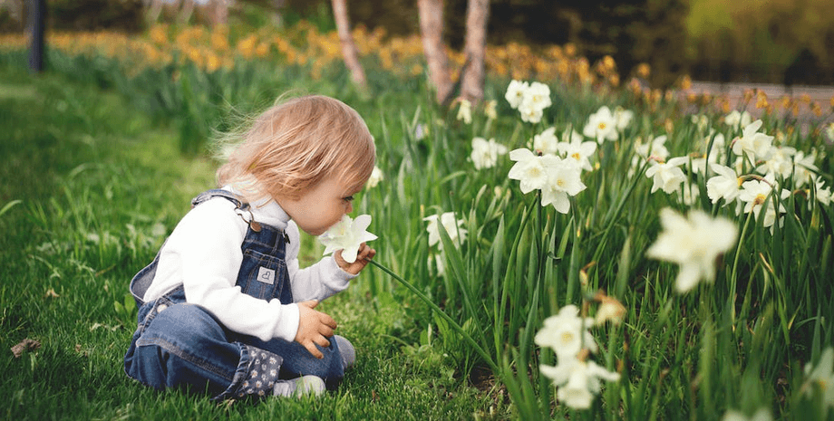 девочка, дети, ребенок