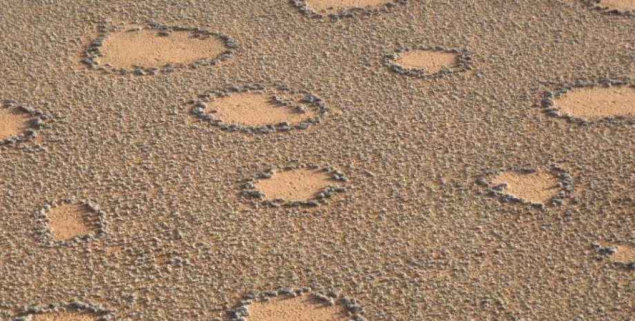 Кола фей, виявлені в Намібії кола фей, казкові кола, намібія