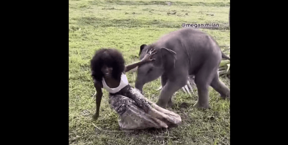 Меган Милан