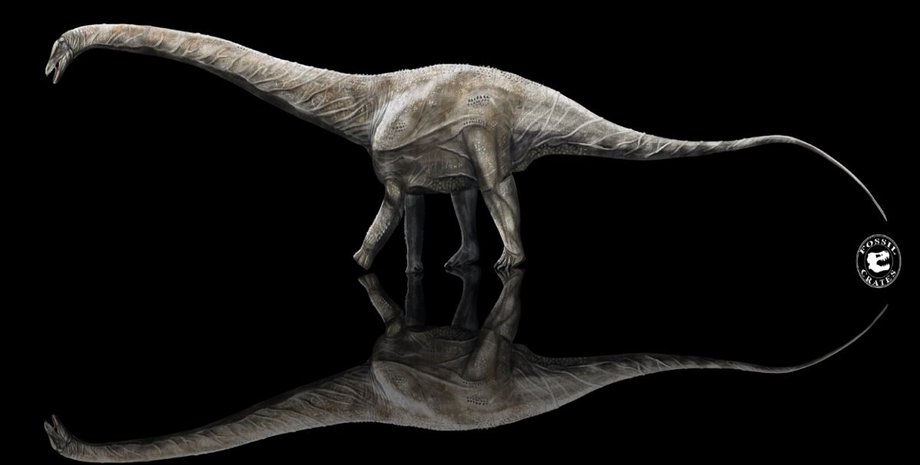 динозавр, суперзавр, фото