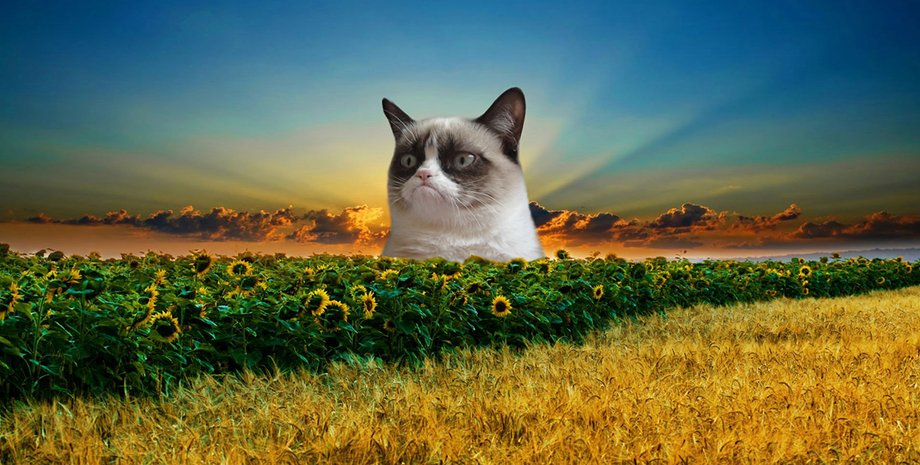 Фото: открытые источники