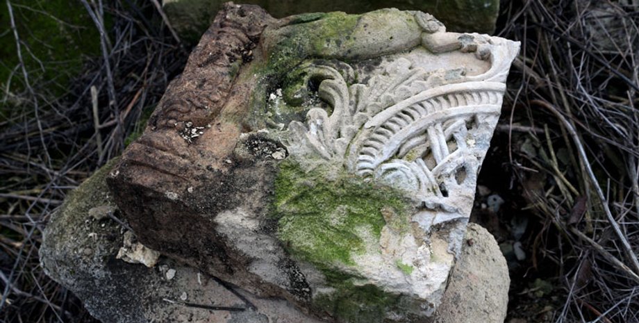 Фото: Фокус