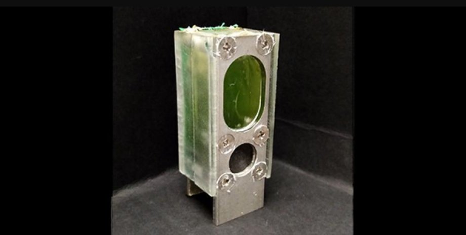 Генератор, электроэнергия, водоросли