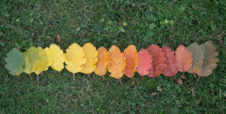 Фото: Study in Sweeden