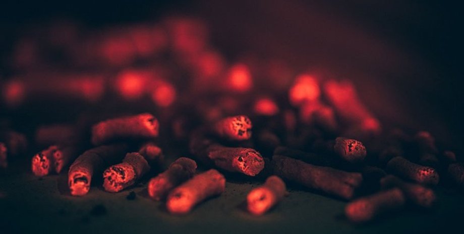 Гранулы из кофейной гущи / Фото: facepla.net