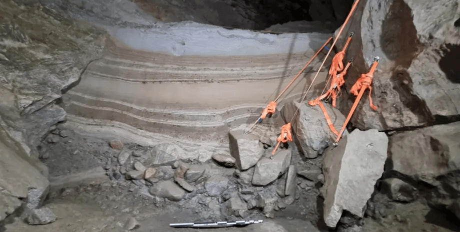 Дослідники виявили тисячі фрагментів кісток