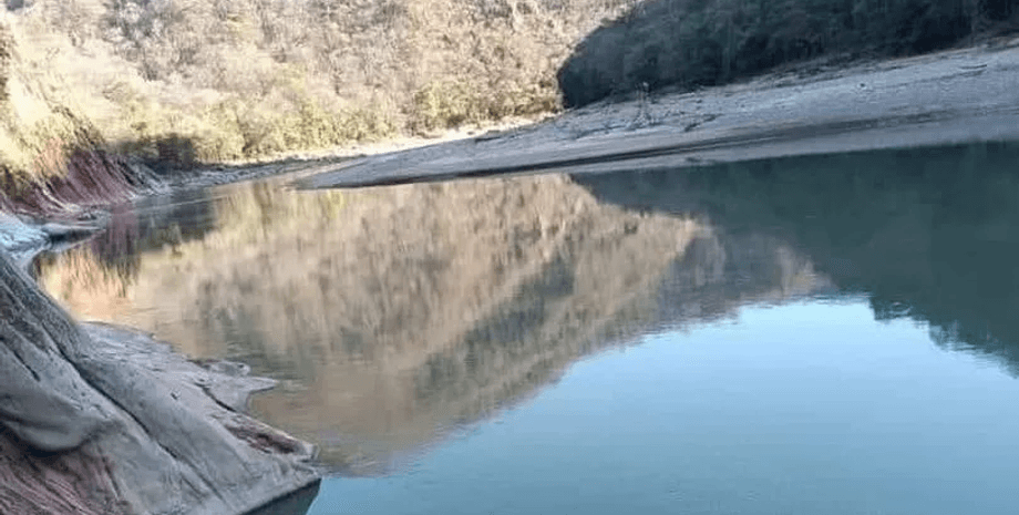 Люди заметили инопланетянина, инопланетянин, пришелец, длинные конечности , серый пришелец, почти прозрачный, НЛО, уфолог