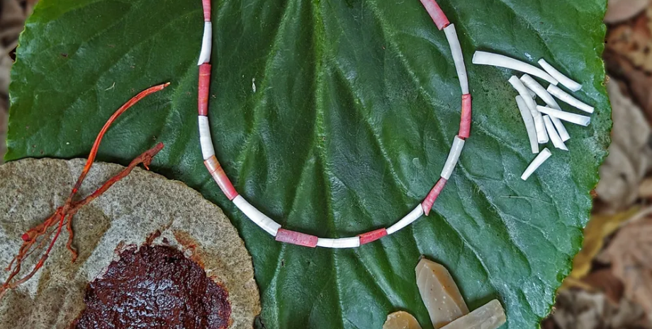 Експериментальна репліка намистин з органічним барвником натуфіанським червоним, виготовленим з коренів рослин маренові, колір, пігмент, червоний колір, намистина, барвник, дослідження, наука, суспільство, культура, рослина, відтінок, значення, матеріал, коріння