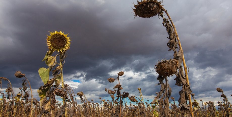 Фото: Getty Images